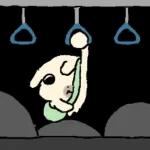 흘긋흘긋 털강아지