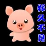 可愛粉粉豬 - 日常實用語