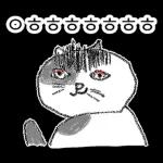 점냥아 오늘만 참자