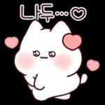 오늘도 포근하다냥