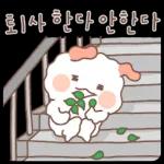 토이사 한다 안한다