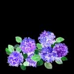 응원
원해
해용
9