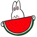 여름에 수박을 먹어요!