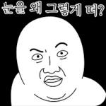 오늘의 짤 #너에게 짤생베팅