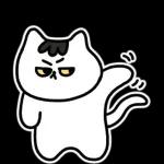 찌코는 안친해!