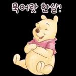 새해에도 뚠뚠이 푸우랑 행복해2