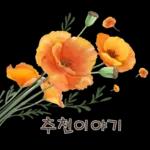 鲜艳꽃束问候表情包2