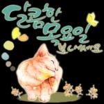 늘, 함께해요.. 반려묘의 사랑메세지