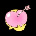 순딩이 초코의 하루 3