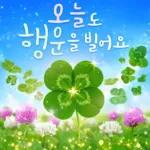 플라워힐링메세지 2