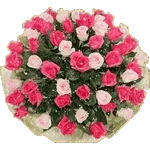 ❤️🌹진심과 장미	너에게만～