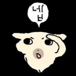 흘긋흘긋 털강아지