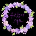 감성수채화시리즈