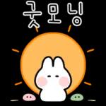 토끼의 일상 생활