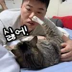 고양이는 안 바빠🐾	 그런데 잘 살잖아