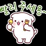 비만 댕댕이의 라이프스타일