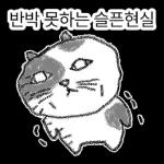 점냥아 오늘만 참자