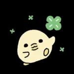 짧뚱한 짧뚱아리