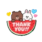 꽃 사랑 이모티콘555