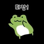 어딜봐도 개구리 깨꾹! 