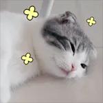 힘내
세요!
ㅁ