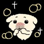 흘긋흘긋 털강아지