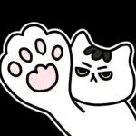 찌코는 안친해!