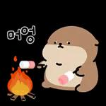 오동통통 서달이 등장! 7 