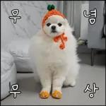 산책 가기 딱 좋은 날씨! 🐕