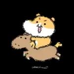 햄수탑니다! 6