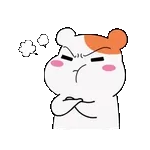 헤데라 아시나요??