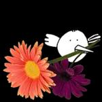 이야기 꽃이 피었습니다 