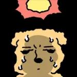 더워도 함께다..의리의 멍커플