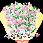 오늘은 꽃 주는 날