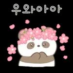 단쥬는 친절하쥬