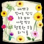 서랍 속 빛바랜 손 편지에 꽃 담아