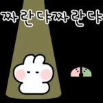 토끼의 일상 생활