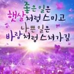 플라워힐링메세지 2