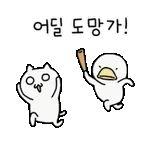 장미 한송이 드려요~!!!