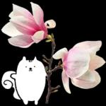 이야기 꽃이 피었습니다 