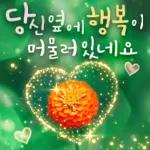 플라워힐링메세지 2