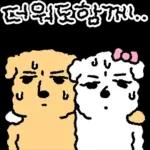 더워도 함께다..의리의 멍커플