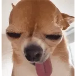 오늘 하루, 사랑도 돈도 다 잡을 거예요!