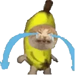 너무 울었어 😢	이 드라마 대박