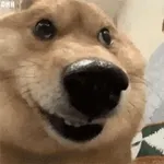 오늘 하루, 사랑도 돈도 다 잡을 거예요!