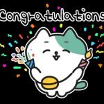 낙천가고양이 민트냥