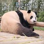 (이게 무슨 소리?)