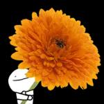 이야기 꽃이 피었습니다 