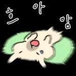 흘긋흘긋 털강아지