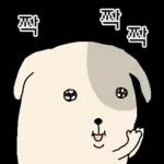 표정으로 말하는 뽀삐